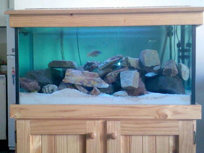 32 gallons freshwater fish tank (mostly fish and non-living decorations) - Tank with wood stand