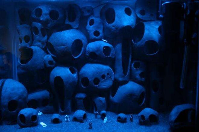 45 gallons freshwater fish tank (mostly fish and non-living decorations) - This tank has been filled using hand crafted pieces of pottery which are hollow and provide ample hiding places for the occupants.

The moonlight effect has been achieved using seven super bright L.E.D.'s.