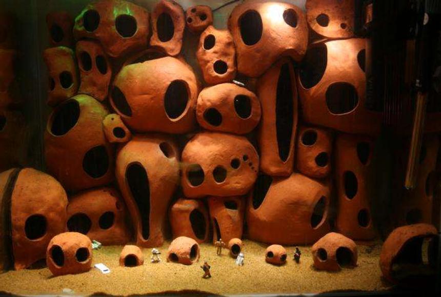 Rated #921: 45 Gallons Freshwater Fish Tank - This tank has been filled using hand crafted pieces of pottery which are hollow and provide ample hiding places for the occupants.

The lighting is achieved using seventeen super bright white L.E.D.'s mounted into a custom lid.

The tataouine-esque feel to the tank has led to the introduction of several star wars characters.  An interesting concept, the fish seem to love chewbacca!