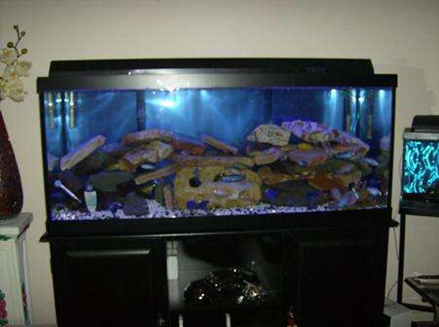 Rated #368: 75 Gallons Freshwater Fish Tank - my first tank