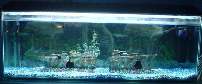 47 gallons freshwater fish tank (mostly fish and non-living decorations) - Fish Tank (4" one) the 2nd day! with my boat and 3 sword tails in there.