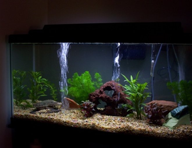 35 gallons planted tank (mostly live plants and fish) - new tanks waiting on fish