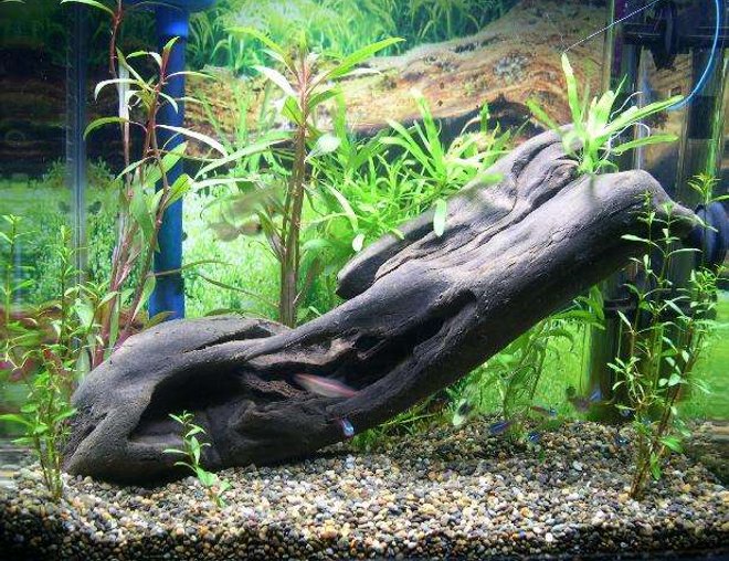 40 gallons planted tank (mostly live plants and fish) - aqua one 380, 40 ltr