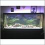 75 gallons saltwater fish tank (mostly fish, little/no live coral) - 75 gallon
