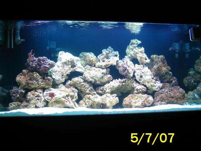 55 gallons saltwater fish tank (mostly fish, little/no live coral) - update pic of DAS 120