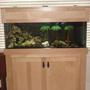 fish tank picture - the tank and stand