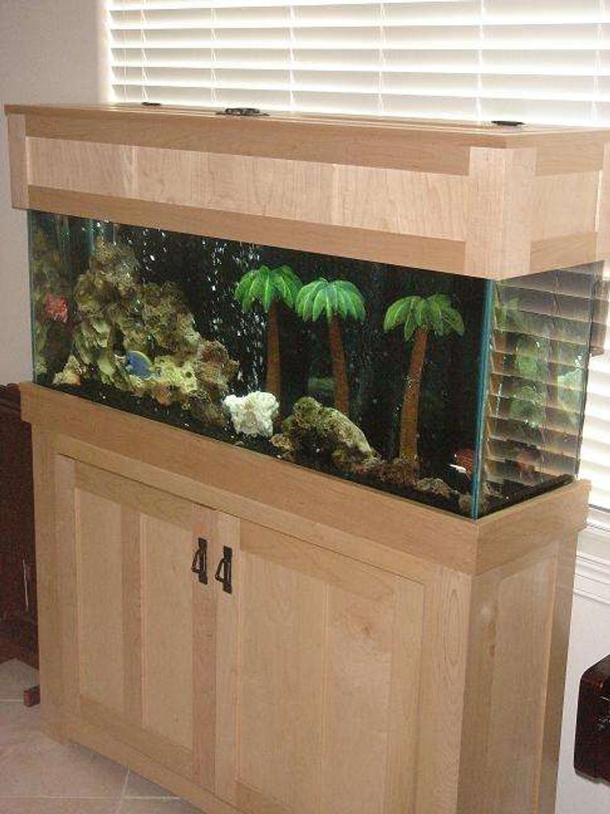 fish tank picture - tank at an angle
