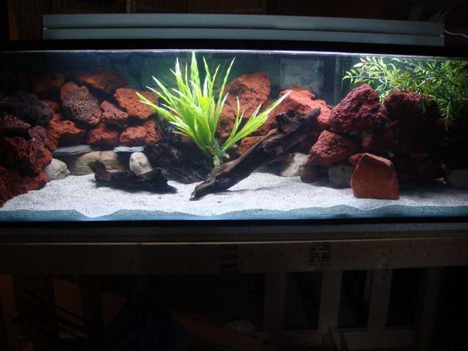 90 gallons freshwater fish tank (mostly fish and non-living decorations) - 125 g Mbuna/Peacock Set up
Filters: Eheim 2280 canister, Emper 400
Power heads: 2 Aquar clear 700's
Heaters: 2 Eheim 250w heaters

Decorations: Lava rock, River Rock, Slate, Driftwood, Fake plants

Substrate: Cichlid mix sand

Fish: Yet to be inhabited ( 3 Aulunocara Steveni, Lemon Jake, 6 Yellow labs, 4 Cyno Afras "white Tops" 6 Saulosi, 5 1 Onixparinx "Electric Blue" Hap Alhi, Sunshine Peacock, Gold Peacock, 3 Red empress, and one Ruben red