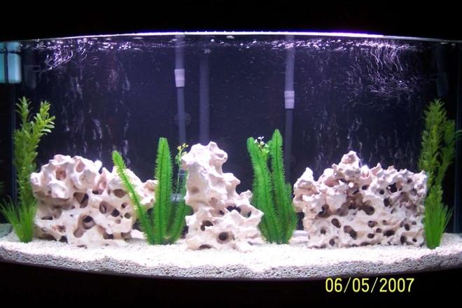 80 gallons freshwater fish tank (mostly fish and non-living decorations) - 80 gal. cichlid tank