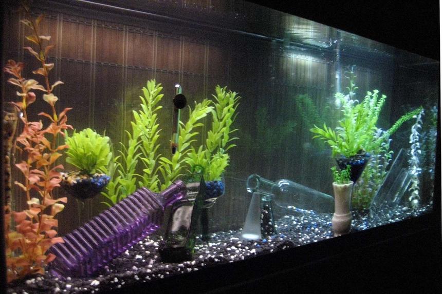 Rated #399: 55 Gallons Freshwater Fish Tank - before the fish