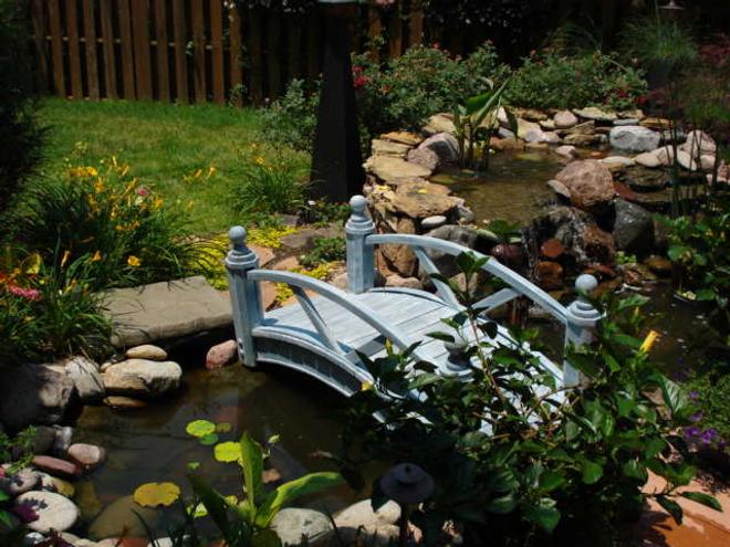 46 gallons planted tank (mostly live plants and fish) - well, kinda....